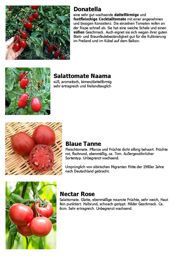 Tomatensorten2020-page-001_WEB