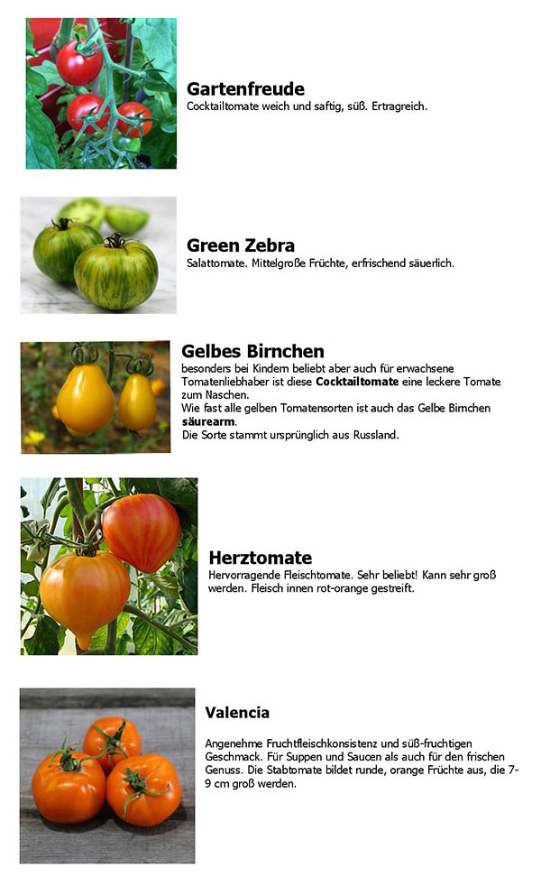 Tomatensorten2020-page-002_WEB